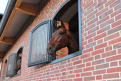 Reitanlage Pferd im Reitstall