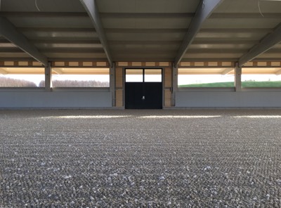 Reitanlage Innenansicht Blick zum Durchritt