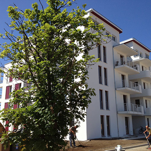 Projekt in Schwerin, gebaut wurde eine Wohnquartier als Neubau, Bauvorhaben vom 01.06.2012